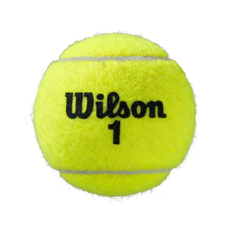 Wilson Roland Garros All Court Balls (box of 72 balls - 18x4)